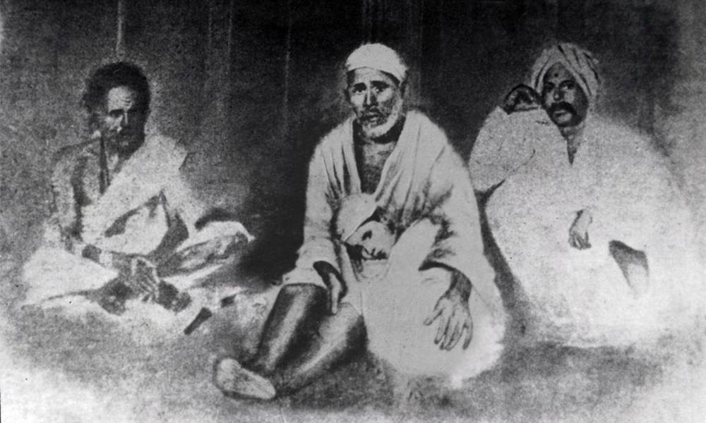 Wonderful Carnation Wonderful Carnation